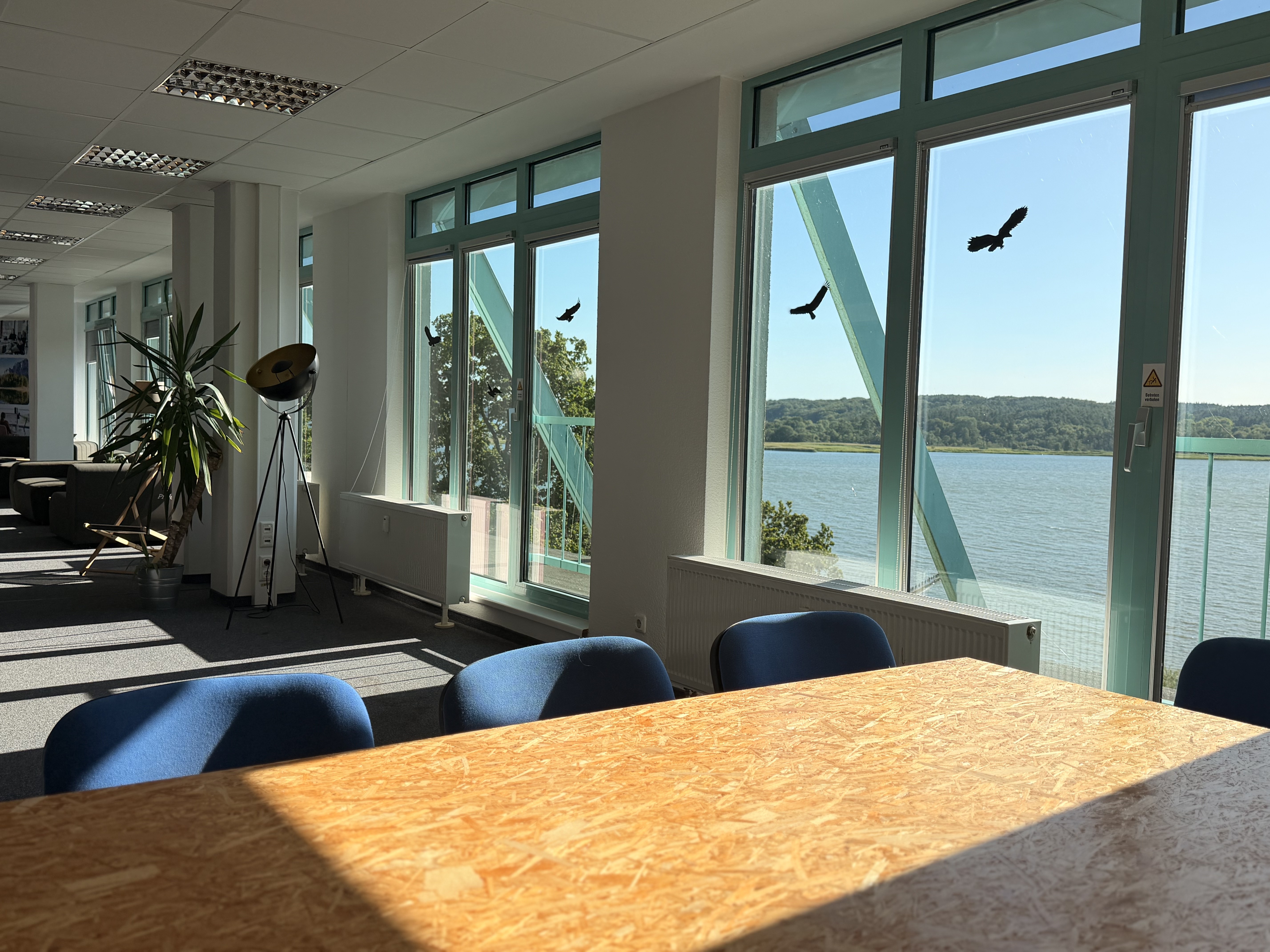 Project Bay Lietzow – Arbeitsplatz mit Boddenblick